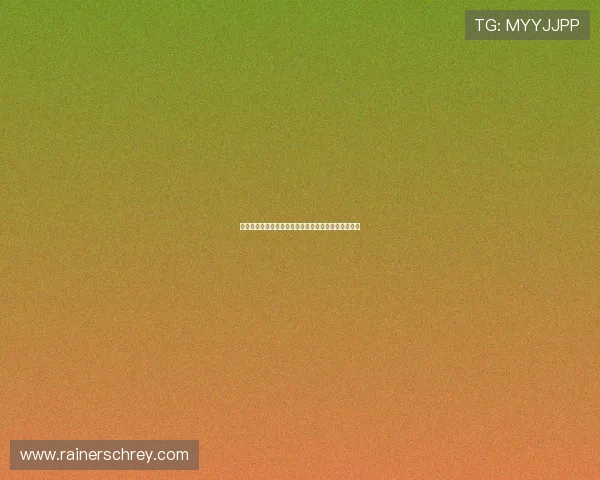 爱游戏中国：深入分析中国游戏市场的现状与未来潜力