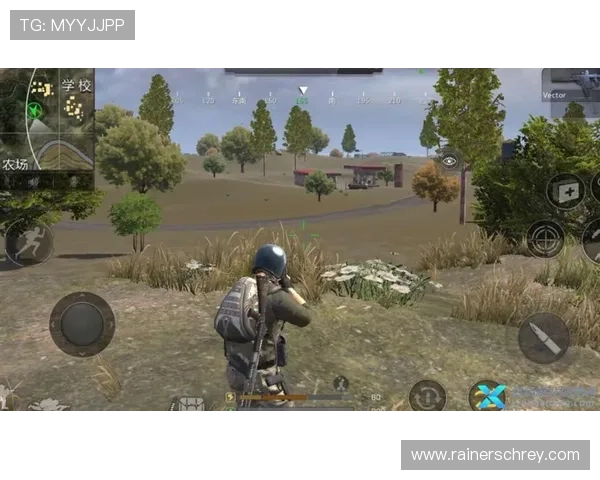 爱游戏官网首页登录账号个人信息管理与隐私保护措施介绍