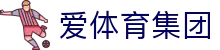 爱体育集团|开云爱体育 - (中国)湖北省爱体育集团咨询有限责任公司欢迎您